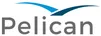 Pelican AI (CSE: PEL) logo
